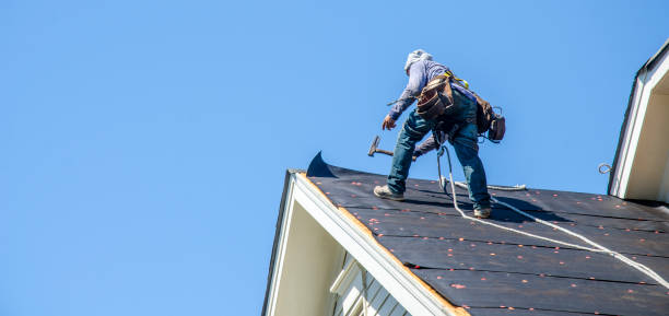 Professional Roofing Contractor in Wynne, AR
